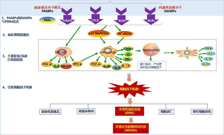 https://www.hnjkw.com/upload/localpc/xinwen/202002171010322183146.jpg