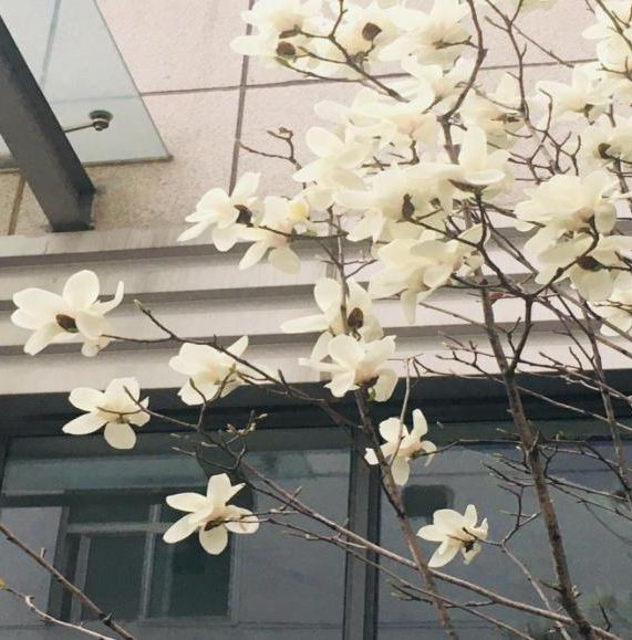 https://www.hnjkw.com/upload/localpc/xinwen/202003191715374041691.jpg
